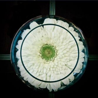 White flower in a glass bowl.